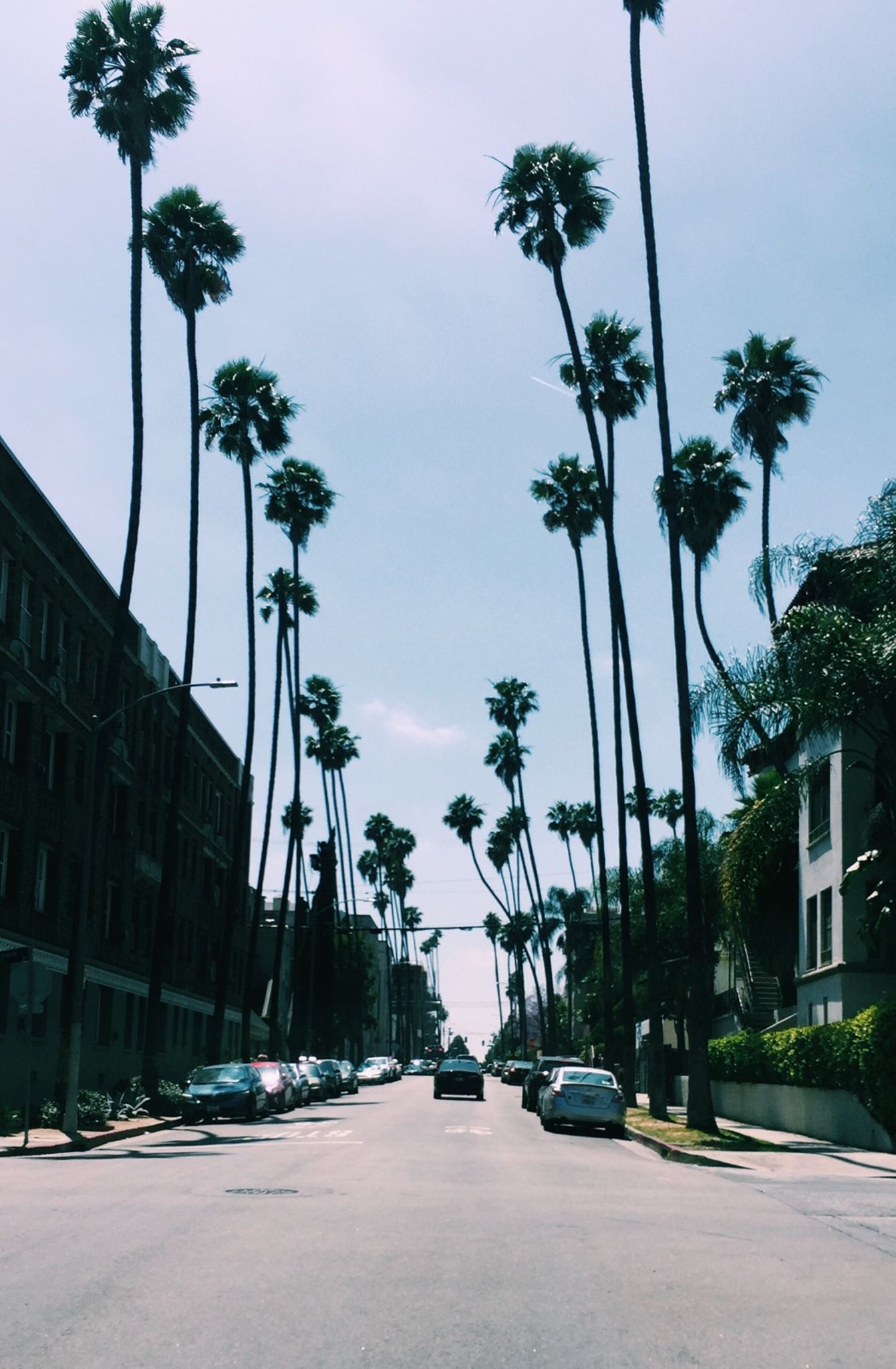 Day #0 - LA shenanigans & Venice chill