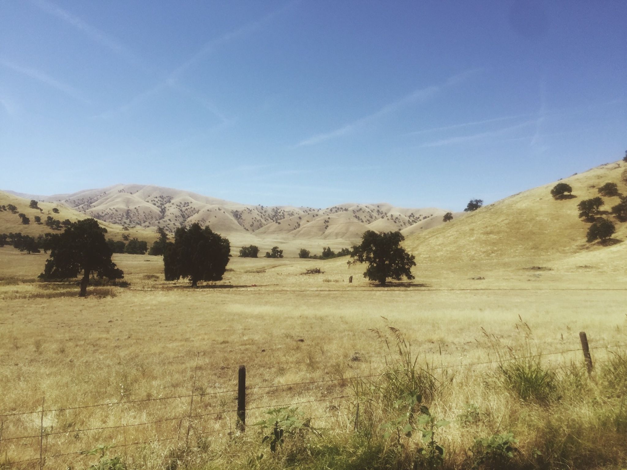 Day #5 - Camp Nelson to Three Rivers