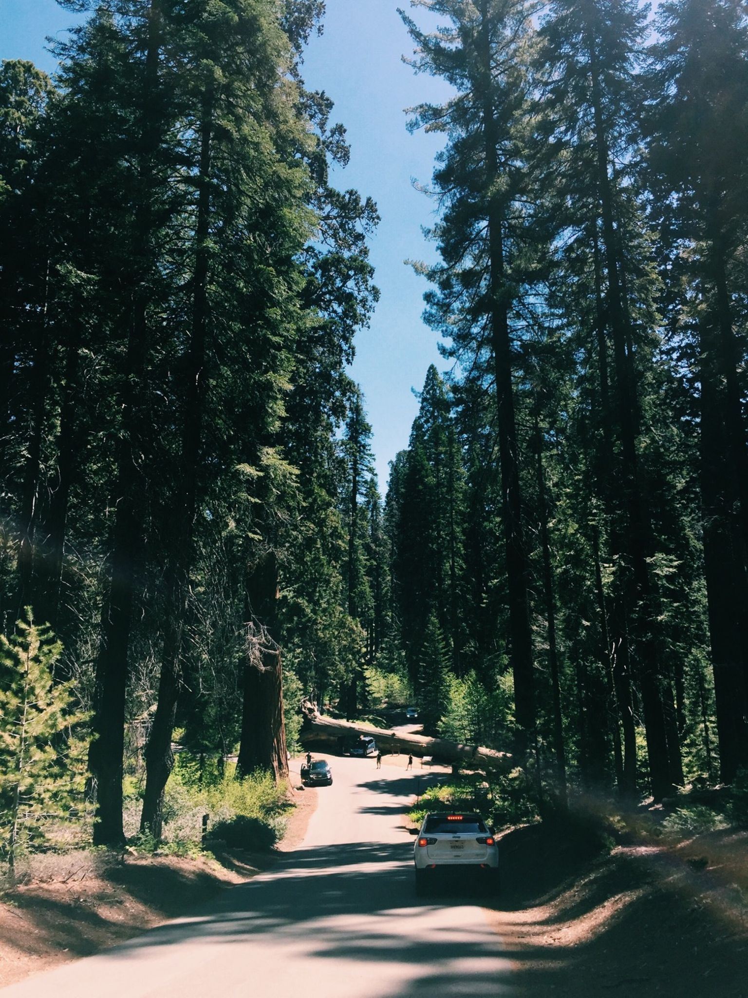 Day #6 - Three Rivers to Sequoia & Kingโs Canyon National Parks