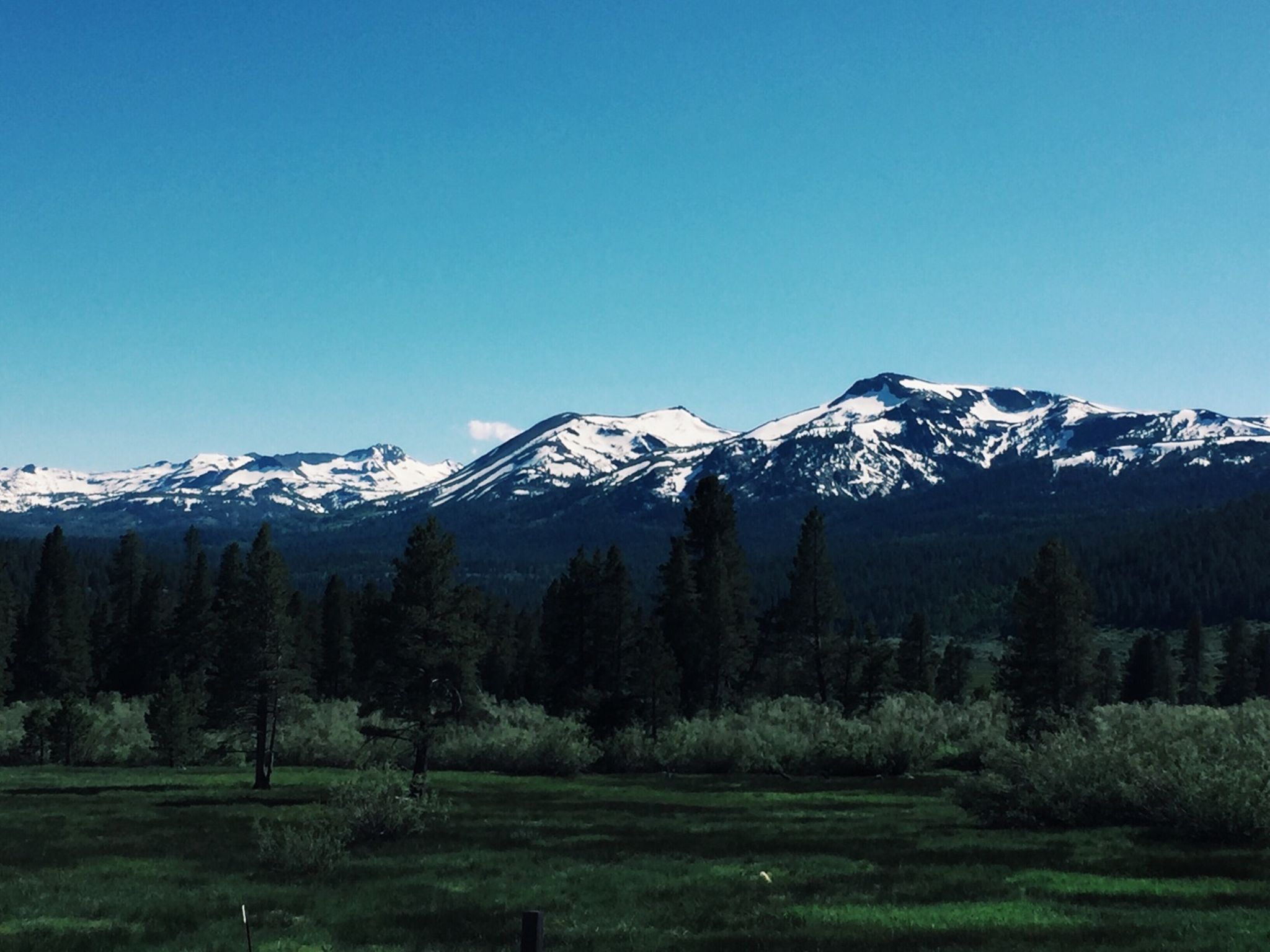 Day #12 - Sonora Pass to Lake Tahoe