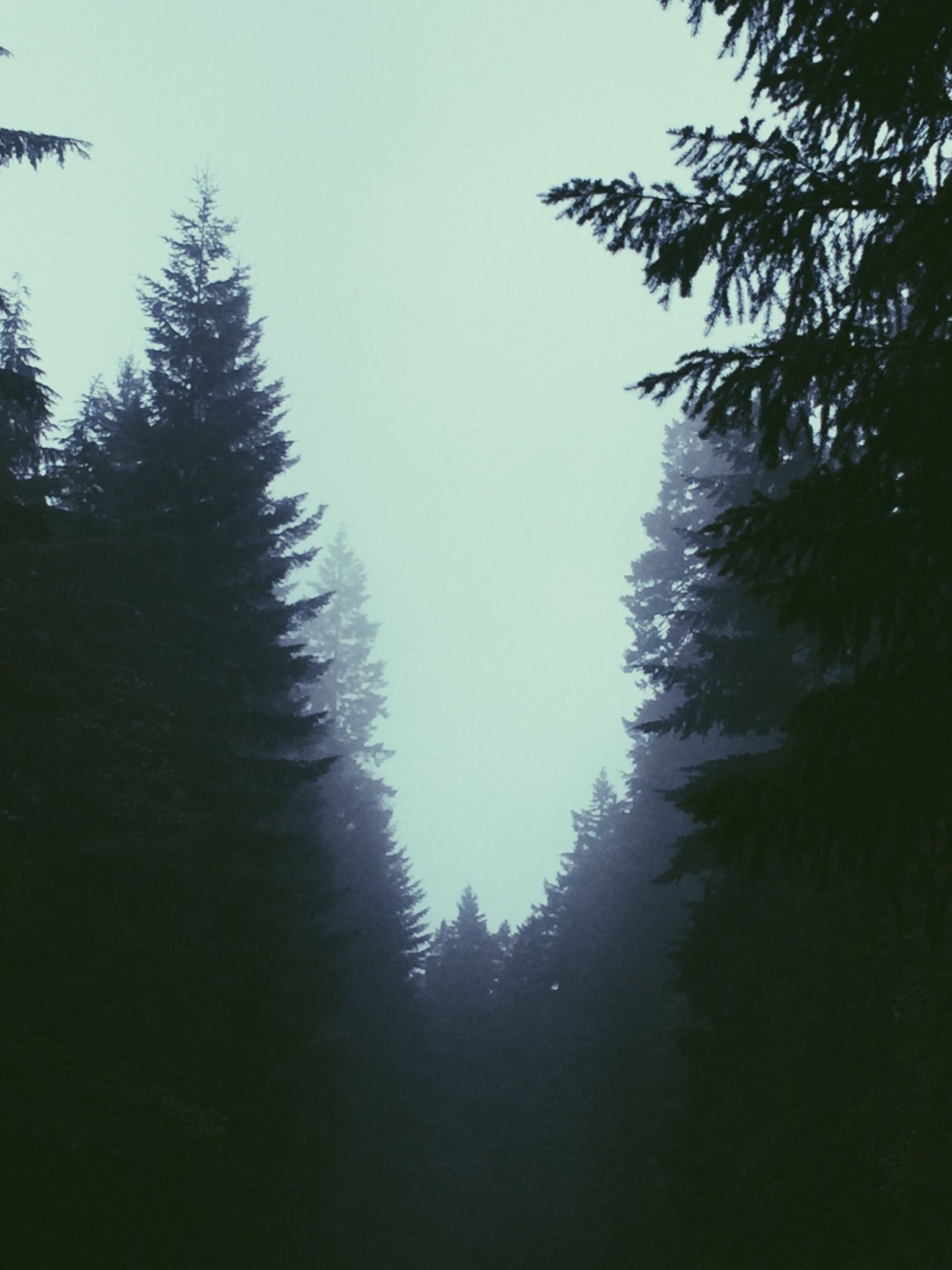 Day #29 - La Wis Wis to Silver something campsite 