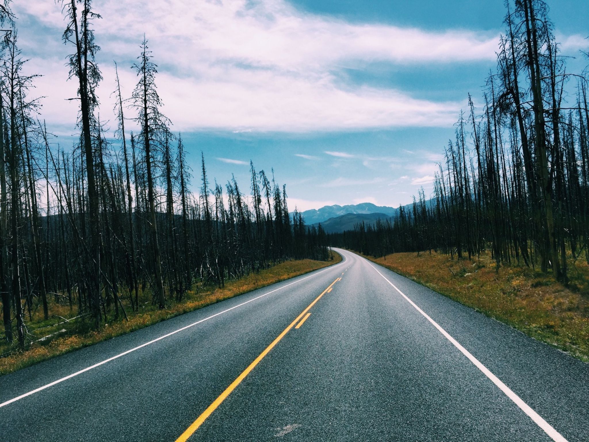 Day #57 - Canyon Village to Colter Bay