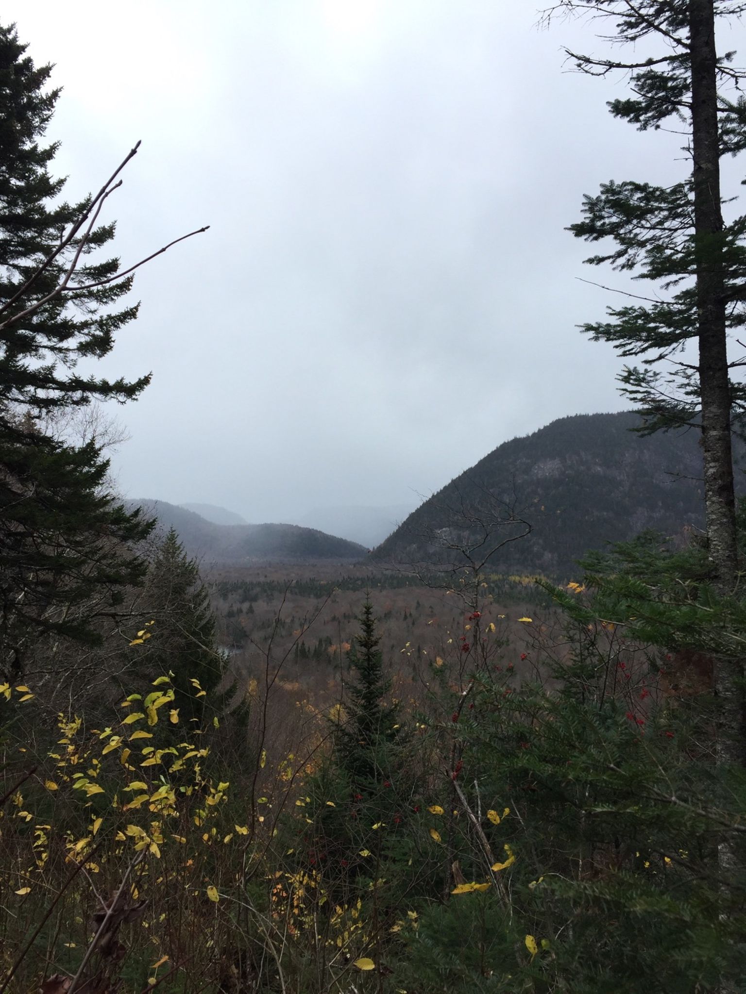 Afternoon Hike