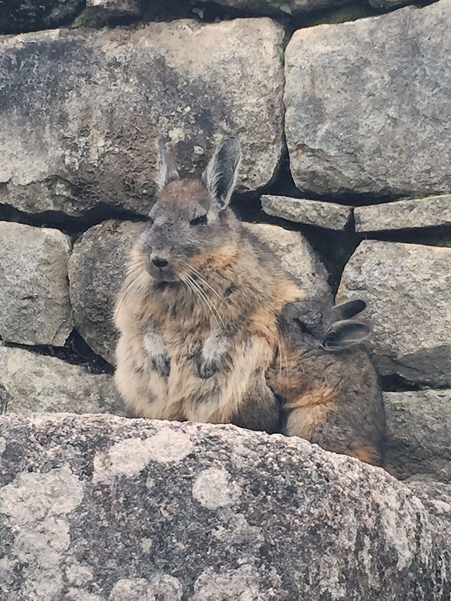 Macchu Picchu Intermezzo 