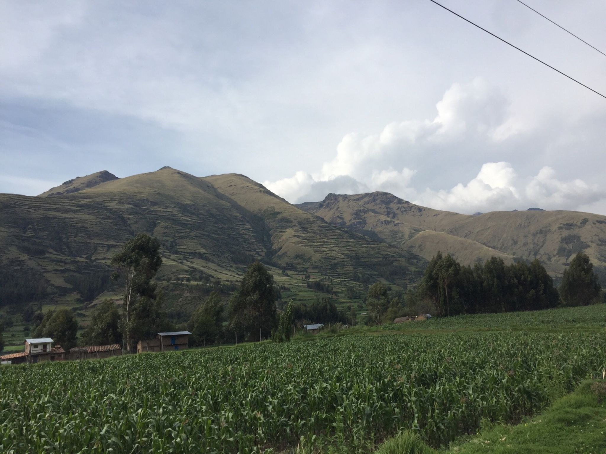 Day #16: Cusco - Pitumarca