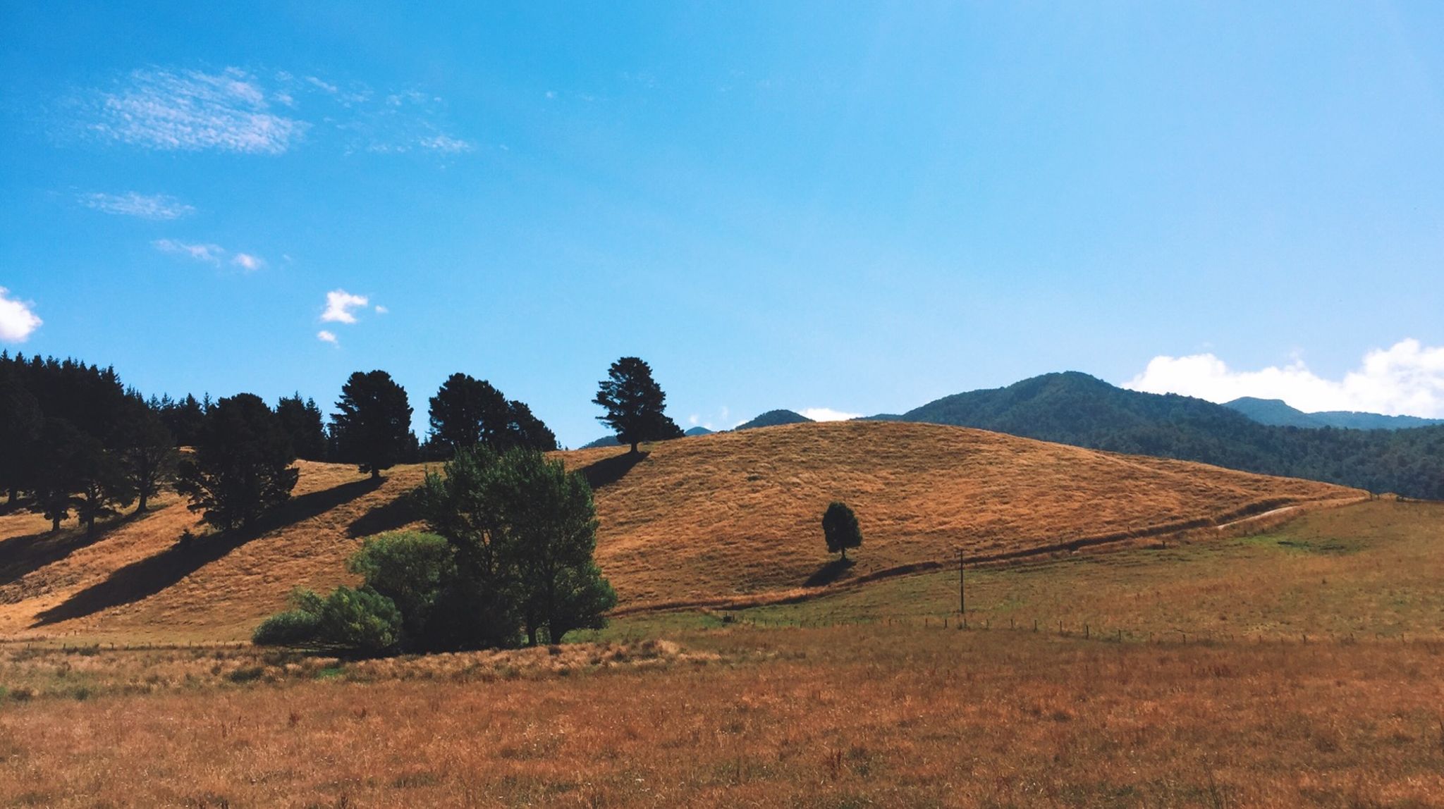 NZ Day #1: Wellington to Nelson