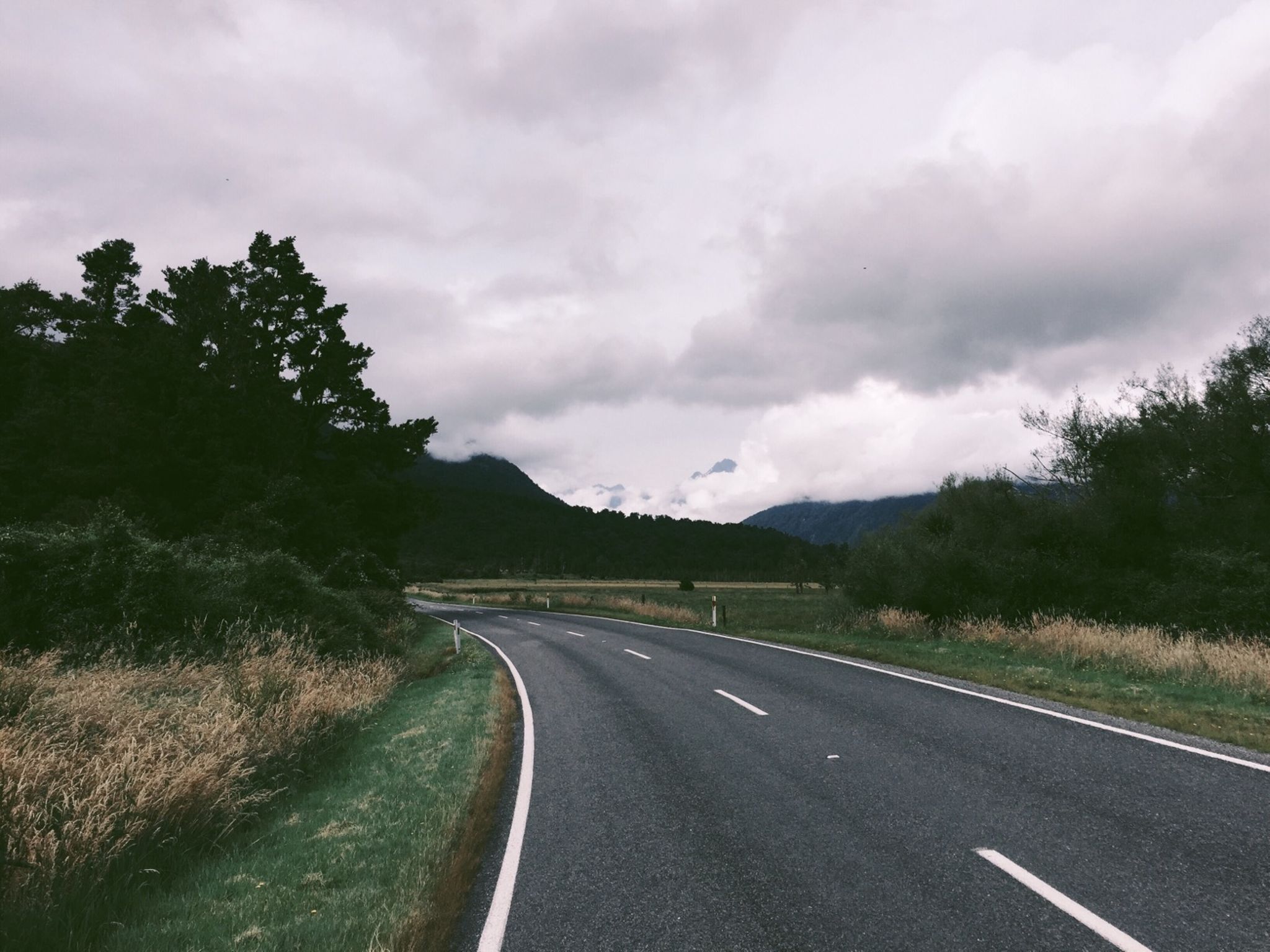 NZ Day #8: Fox Glacier to Haast