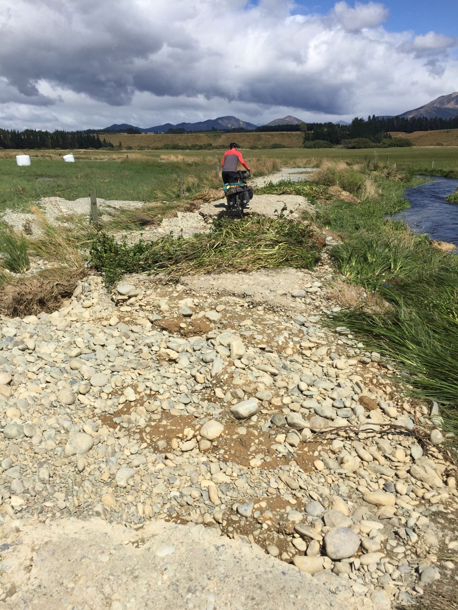 NZ Day #12: Te Anau to Alpaca Ranch