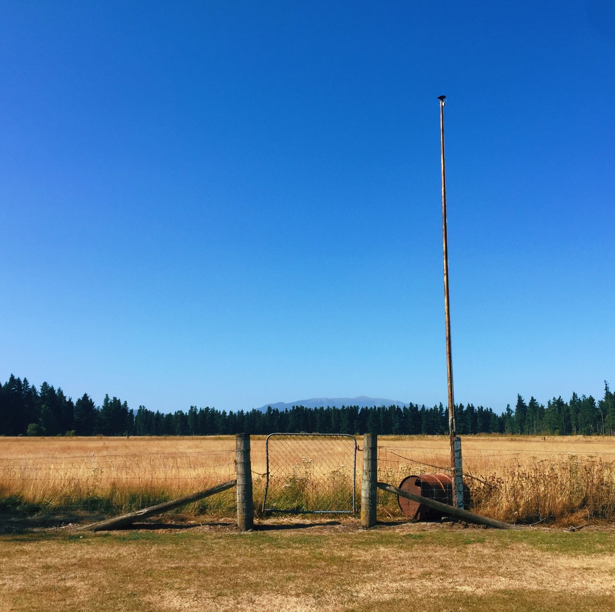 NZ Day #14: Christchurch to Springfield
