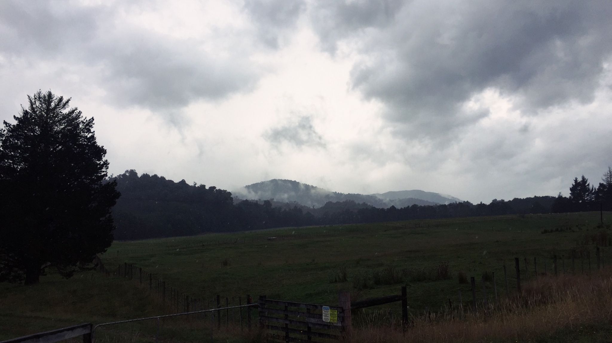 NZ Day #17: Greymouth to Reefton